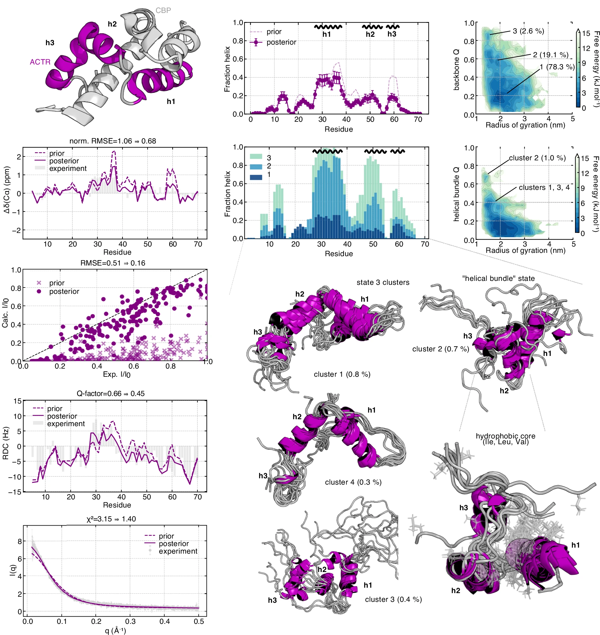 Scientific figure combining an ACTR and CBP molecular structure, NMR and SAXS comparisons before and after ensemble reweighting, residue-level helix populations, free energy maps, and representative compact ACTR conformations with tertiary contacts and a hydrophobic core.