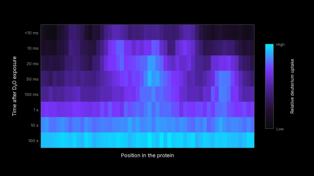 Heatmap of relative deuterium uptake with heterogeneous early-time patterns revealing position-specific protected states below 100 milliseconds.