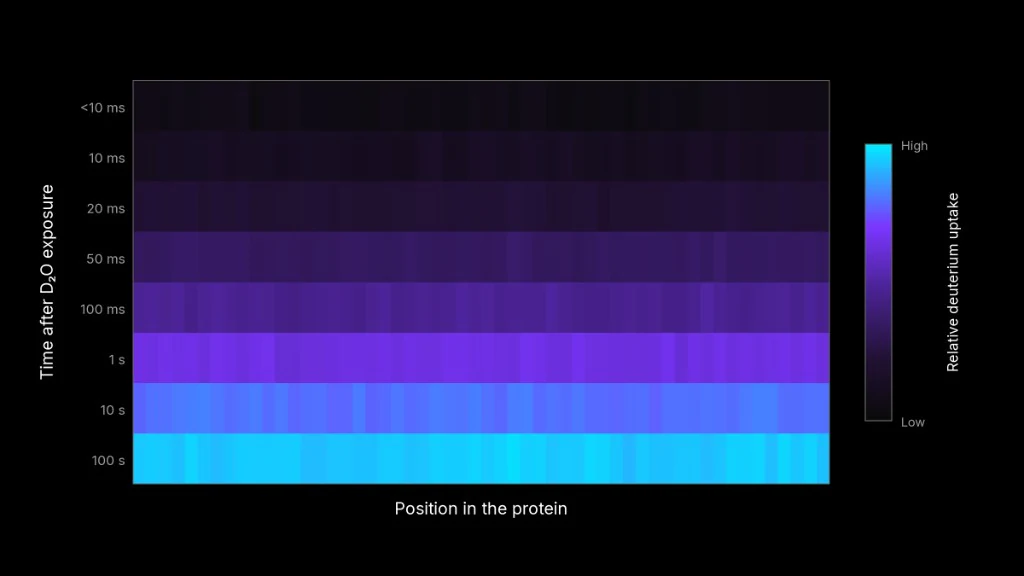 Heatmap of relative deuterium uptake across protein positions from under 10 milliseconds to 100 seconds, with nearly uniform bands at each time point.